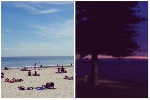 The beach when I get home from work last week and this week.