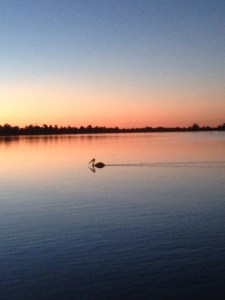 Lake Bonney, South Australia