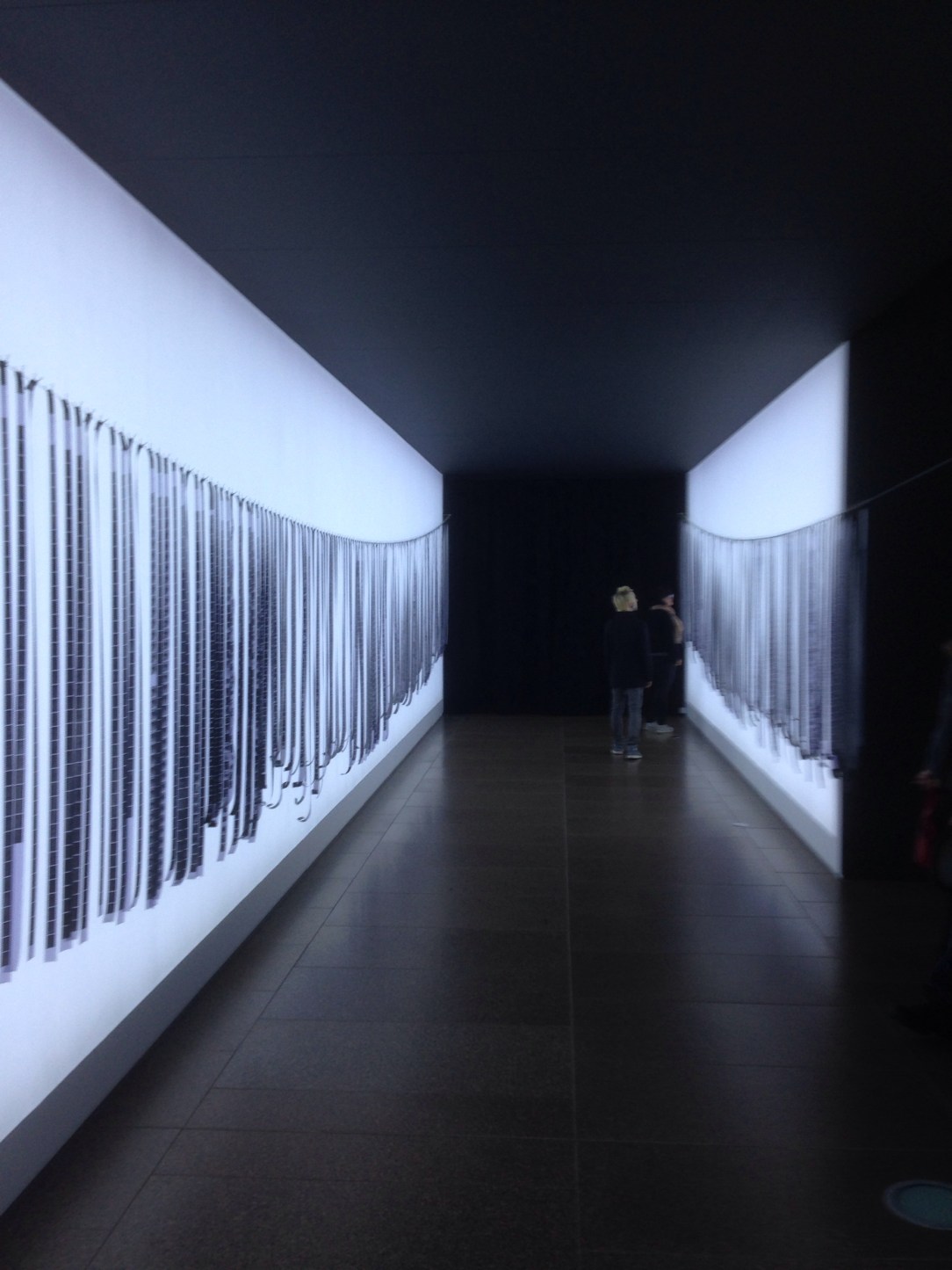 Trent Parke, the Black Rose