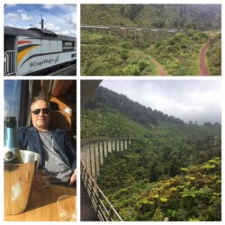 Northern Explorer New Zealand