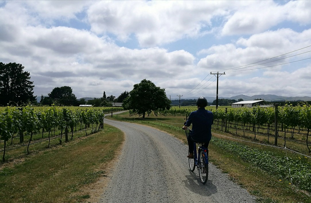 Bike wine tour, Martinborough, New Zealand