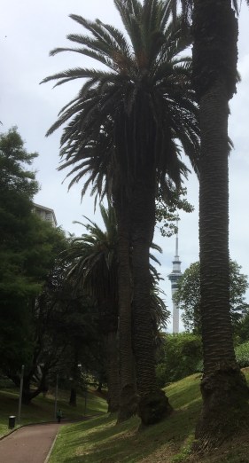Myers Park, Auckland