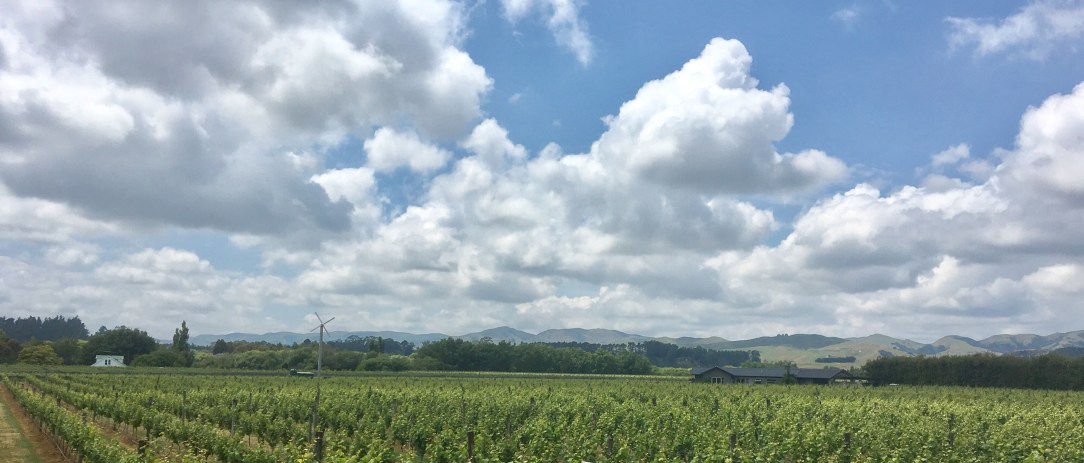 Martinborough wine region