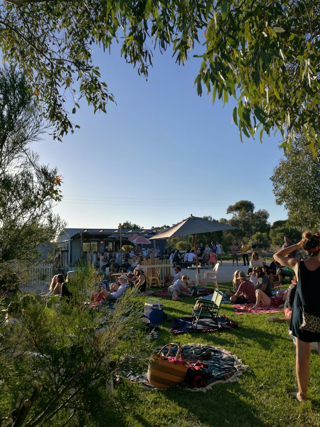 IMG_20180127_193242_resized_20180129_043552986