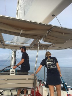Sailaway sunset sail Low Islands, Port Douglas, Queensland QLD