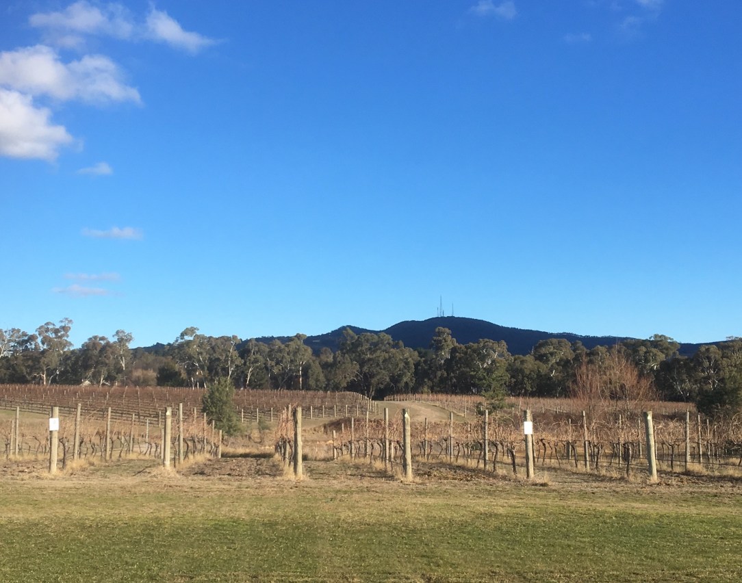 Mount Canabolas, Orange NSW
