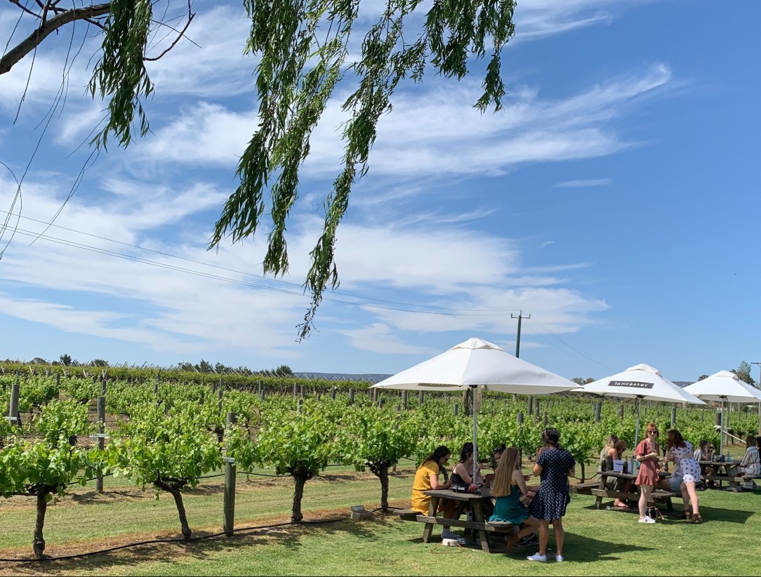 Lancaster Wines, Swan Valley, Western Australia