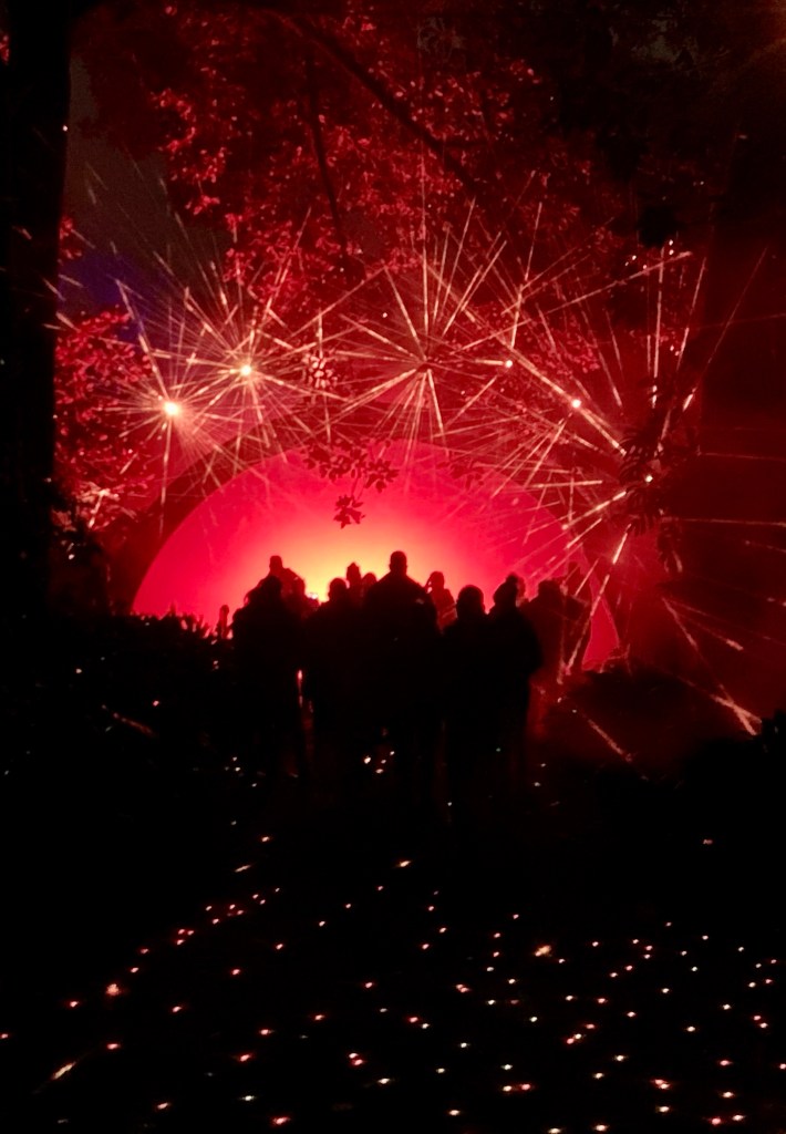 Adelaide   botanic Gardens  Life Cycles red glow and laser blooms