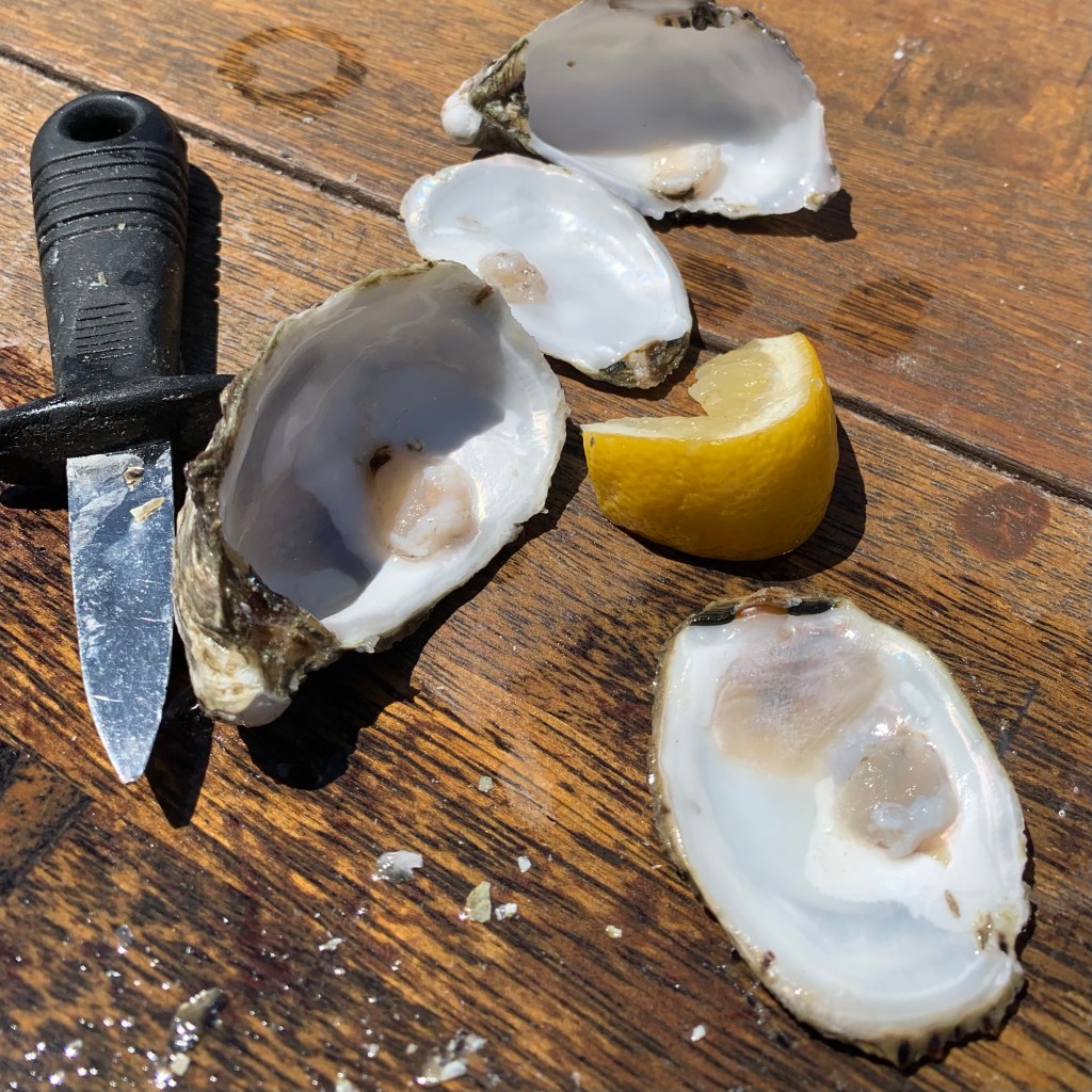 Oysters, oyster shell, knife