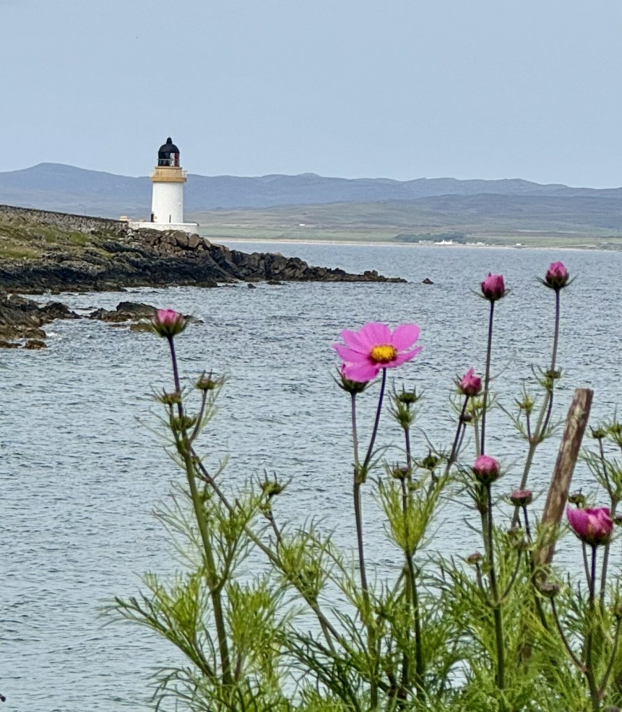 Lighthouse and flowers